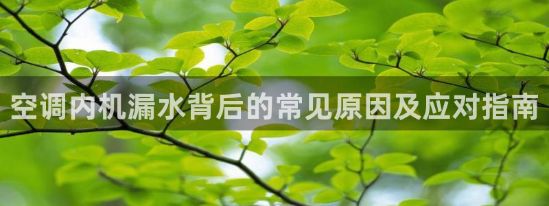 环球360官网会员注册账号密码
