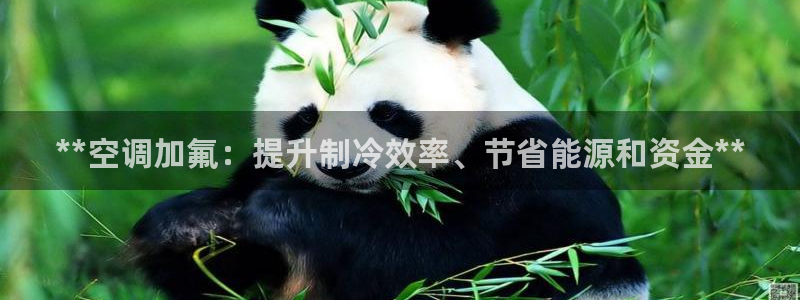 环球360能赢到钱吗