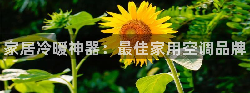 环球360试玩