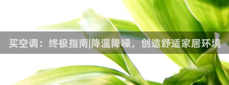 环球360包杀盘