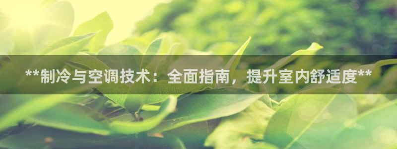 菲律宾环球360平台有假吗