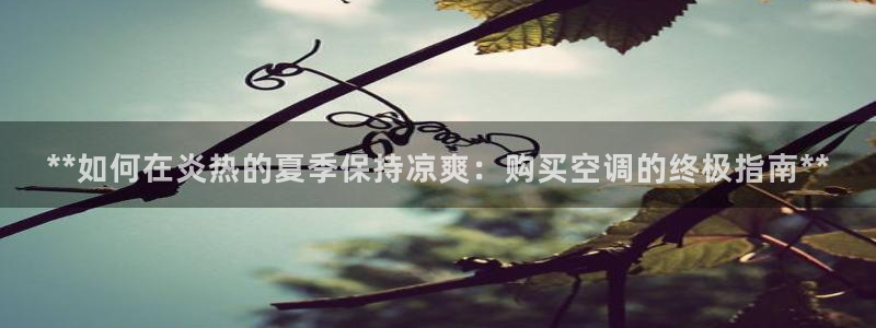 环球360假网