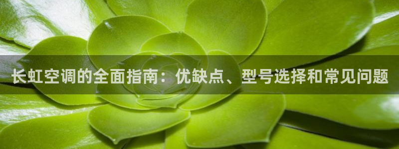 环球360官网入口下载