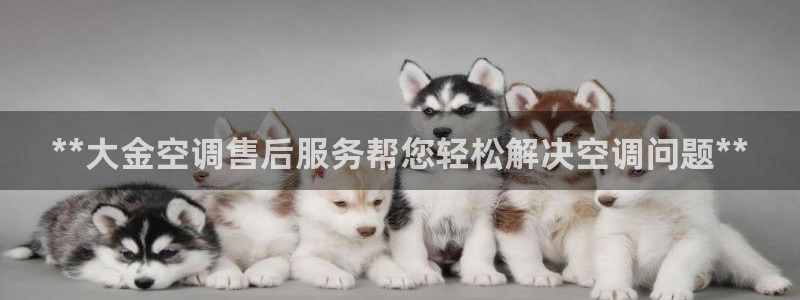 菲律宾环球360