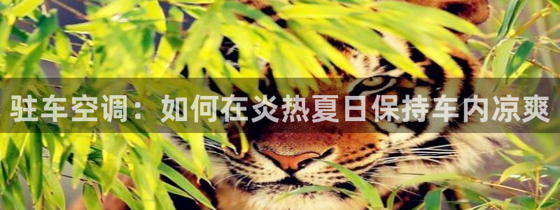 环球360平台注册