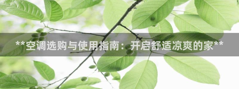 环球360网站最新官网地址www,看看,玩6999