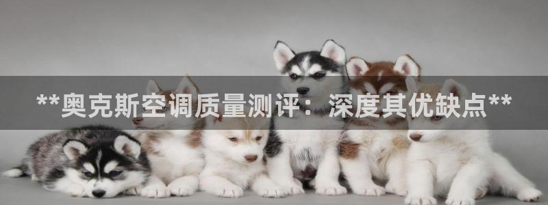 环球360app安卓版