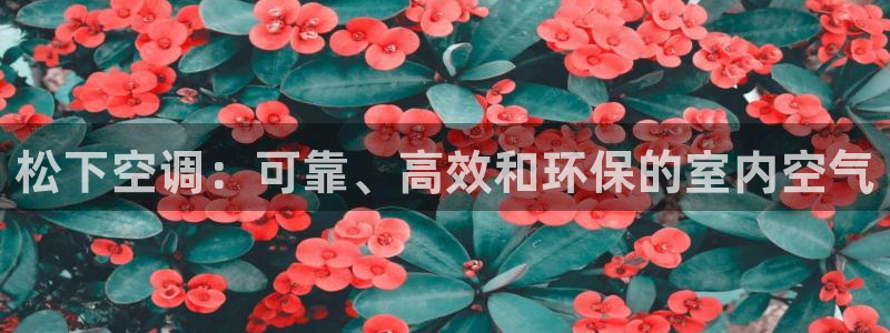 环球360假线合作