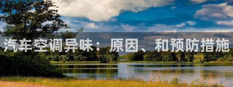 环球360报表