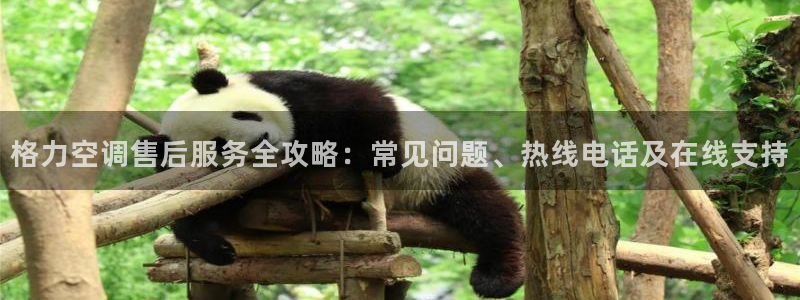 环球360会员登录不上去