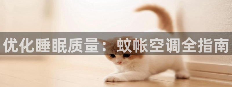 环球360欢迎你