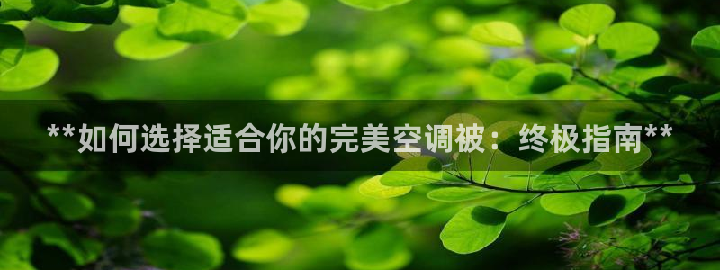 环球360官网手机版下载最新版本