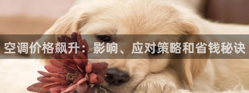 菲律宾环球360
