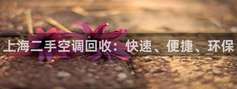 环球360论坛