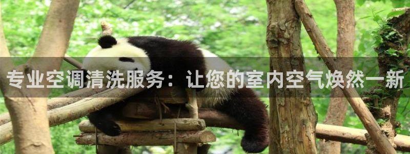 环球360电话