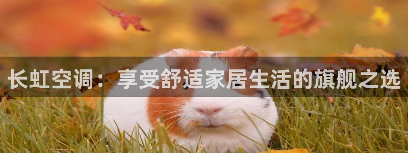 环球360官网