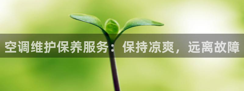 环球360官网入口在哪
