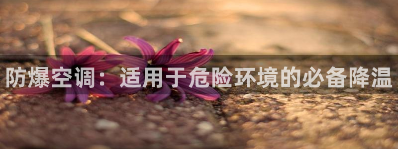 环球360信誉分