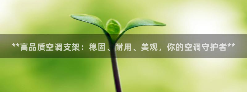 菲律宾环球360