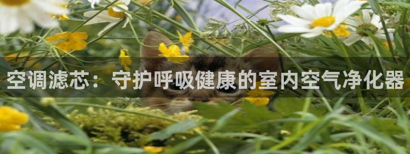 环球360是真的吗还是假的