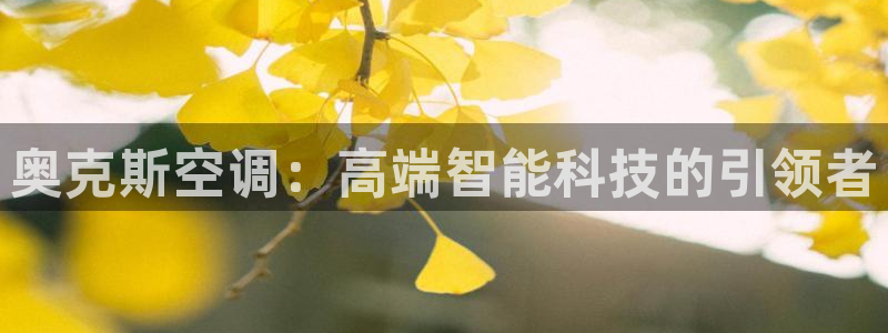 环球360是假的吗